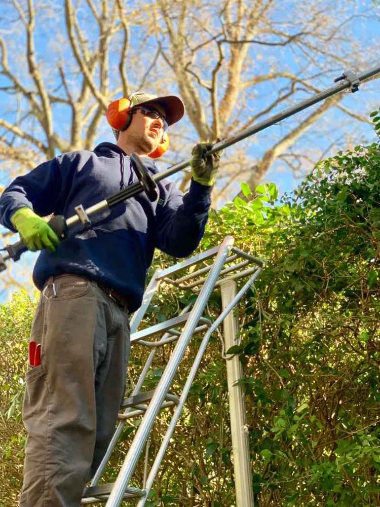 Affordable yard maintenance for residential properties in Holly Springs, NC by Wake Landscapes