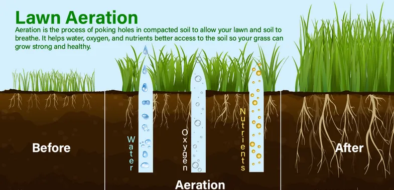 Trusted landscaping services for beautiful yards in Holly Springs, NC by Wake Landscapes