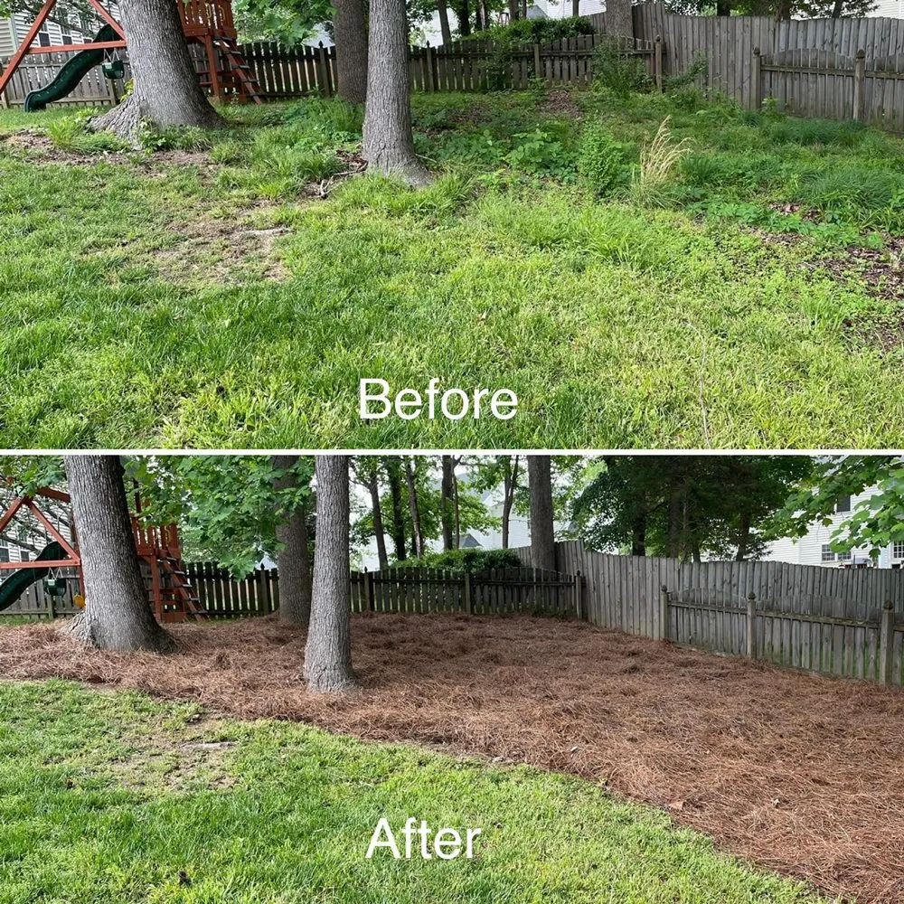 Expert yard cleanup service experts serving Holly Springs, NC - Wake Landscapes