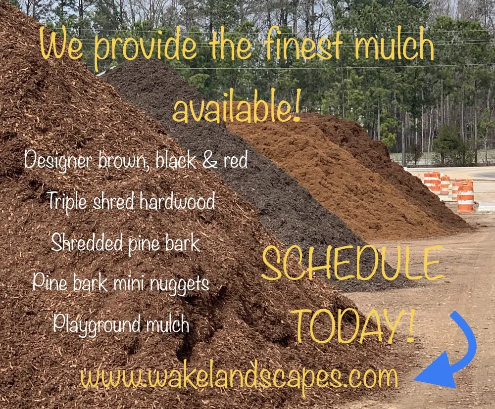 Expert yard maintenance with custom design in Holly Springs, NC by Wake Landscapes