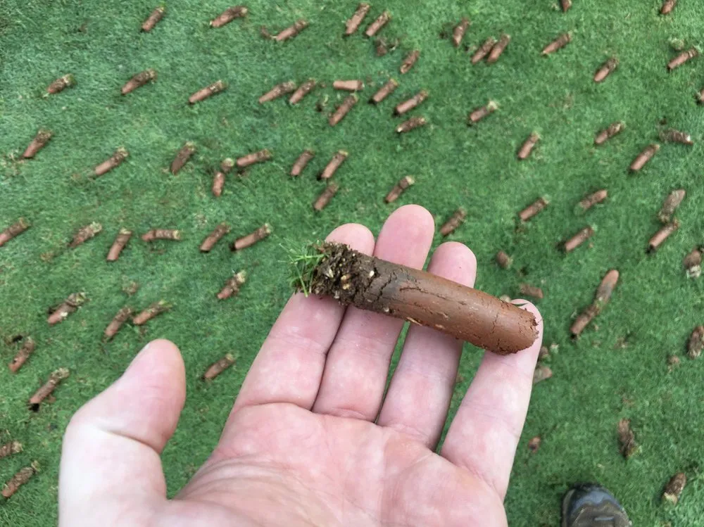 Custom yard maintenance with custom design in Holly Springs, NC by Wake Landscapes