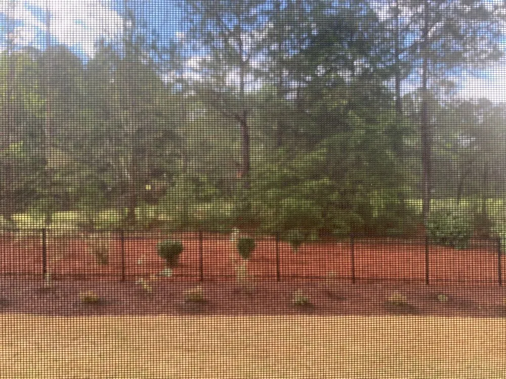 Reliable yard maintenance in Holly Springs, NC by Wake Landscapes
