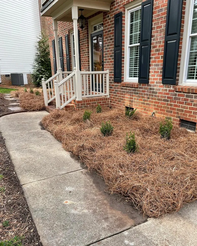 Expert residential landscaping in Holly Springs, NC by Wake Landscapes
