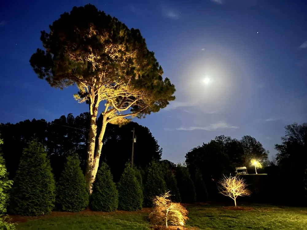 Custom landscape installation for outdoor upgrades across Wendell, NC - Wake Landscapes