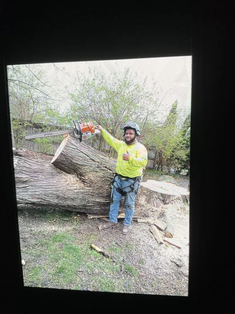 Top-rated outdoor landscaping experts serving Redford Charter Twp, MI - Wakefields Complete Outdoor Service's
