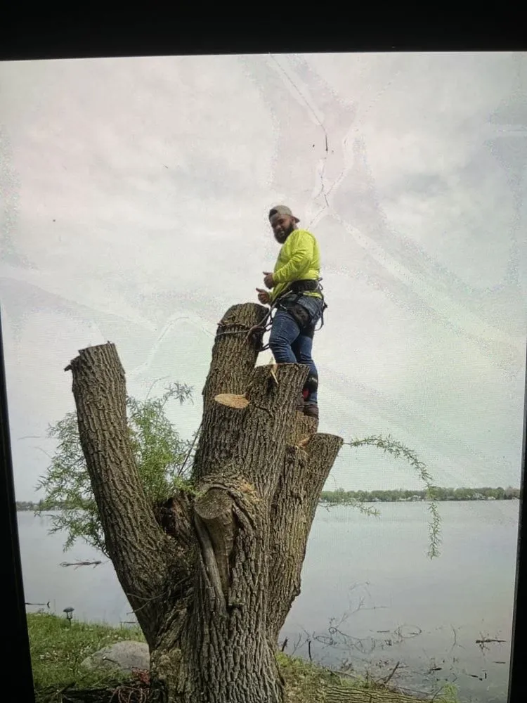 Professional landscaping services experts serving Redford Charter Twp, MI - Wakefields Complete Outdoor Service's