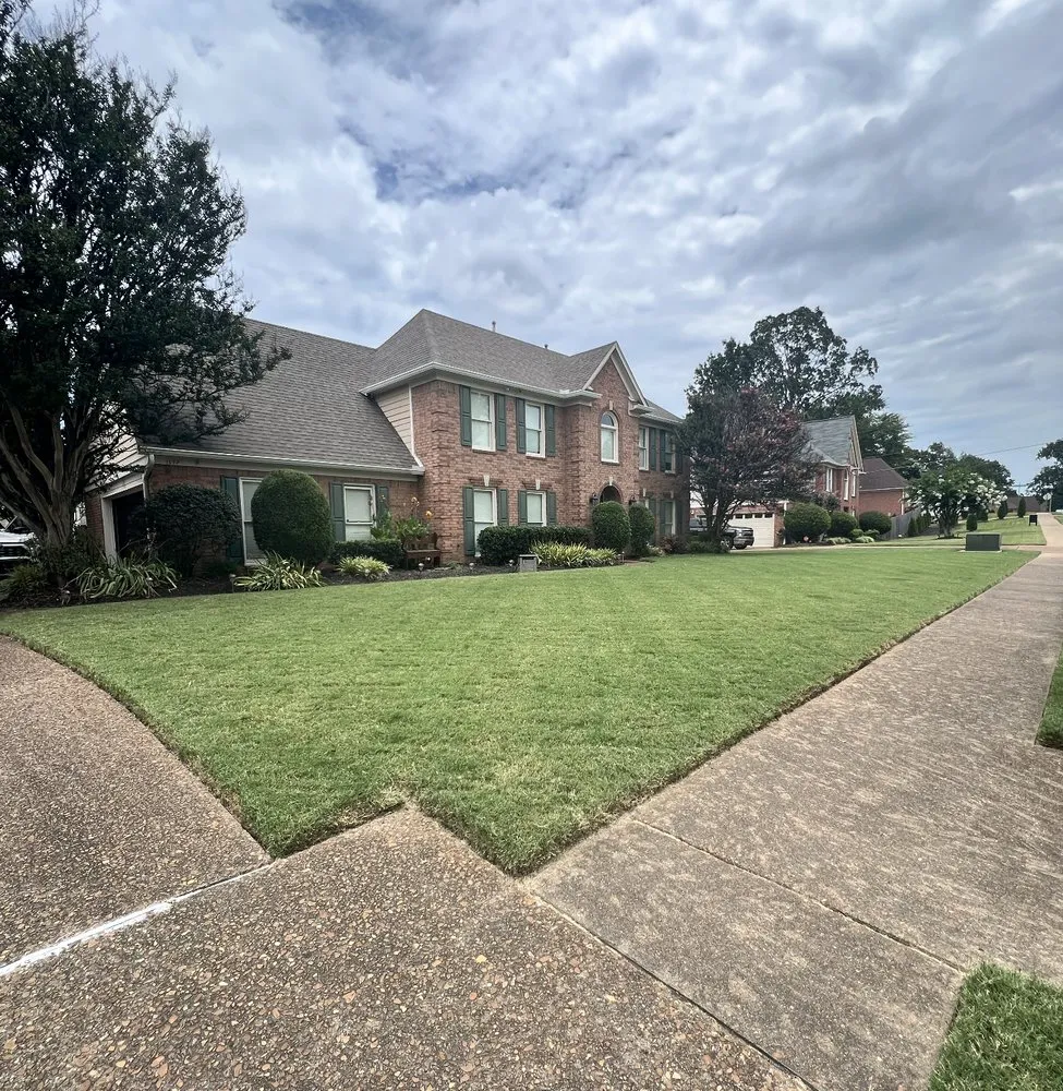 Top-rated landscape design for beautiful yards in Cordova, TN by WakeSum Solutions