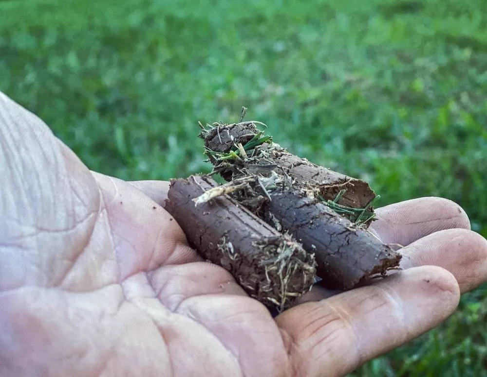 Local yard cleanup service in Stem, NC - Walco Property Maintenance & Lawn Care