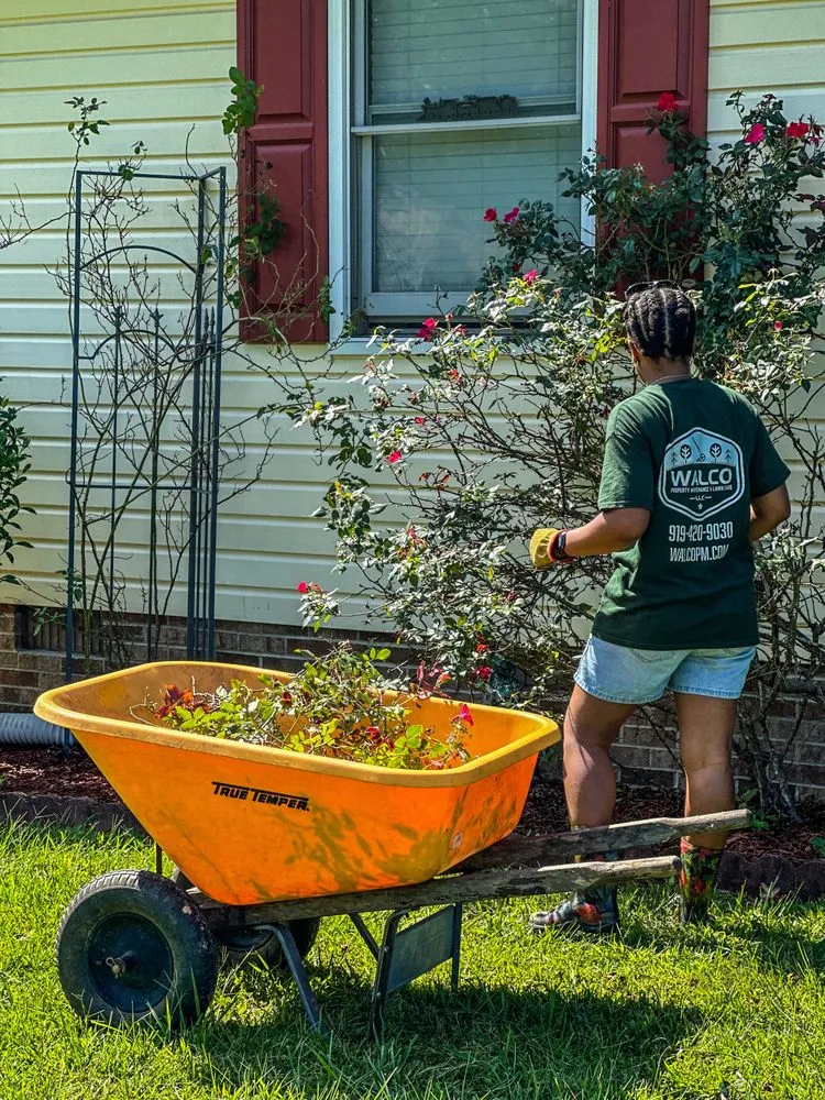 Affordable landscaping services in Stem, NC - Walco Property Maintenance & Lawn Care