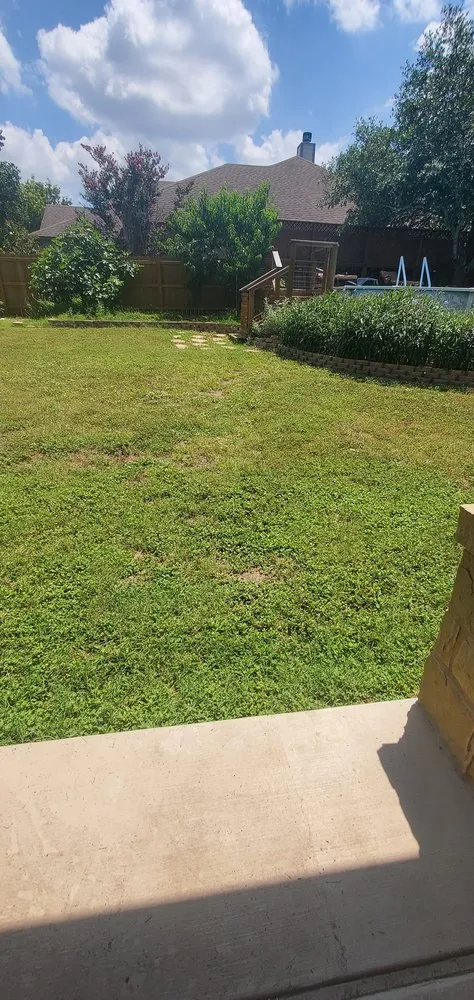 Trusted lawn care service with custom design across Austin, TX - Waldemar Landscaping Design