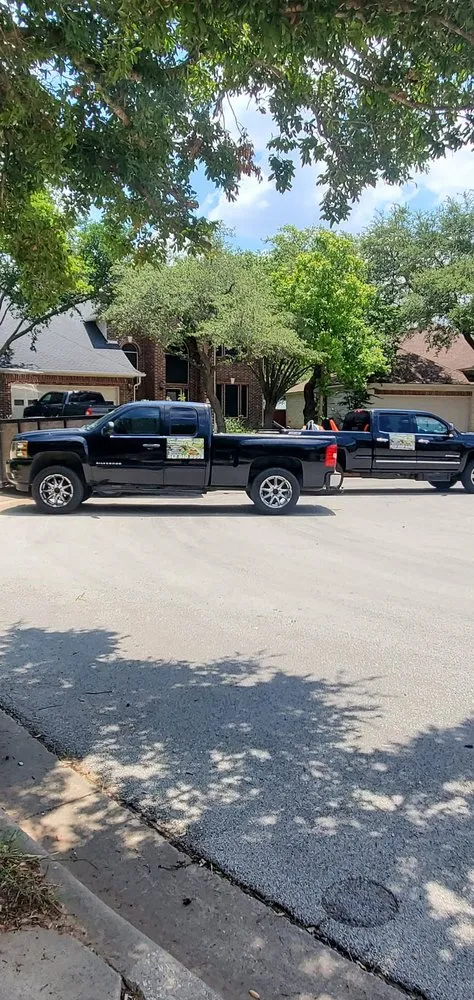 Expert residential landscaping with custom design across Austin, TX - Waldemar Landscaping Design