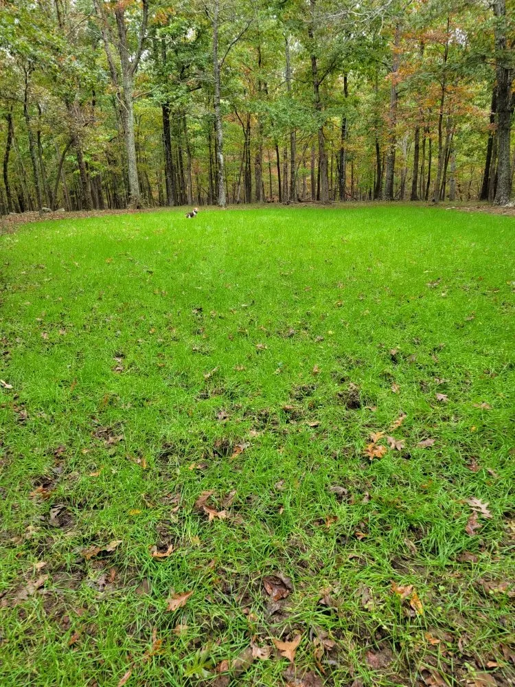 Reliable yard cleanup service for year-round maintenance across Lookout Mountain, GA - Walden farms landscaping and excavation