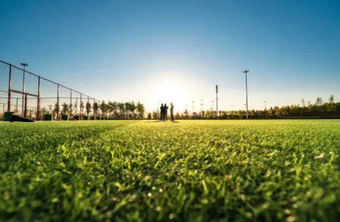 Affordable yard cleanup service near you across Marietta, GA - Waldo & Son Landscaping