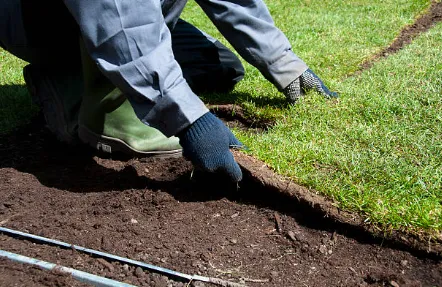 Custom outdoor landscaping for year-round maintenance in Marietta, GA by Waldo & Son Landscaping
