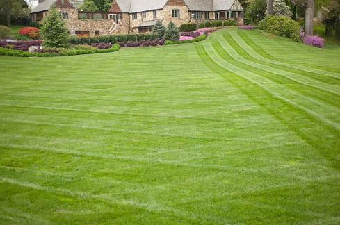 Affordable lawn mowing service for beautiful yards in Marietta, GA by Waldo & Son Landscaping