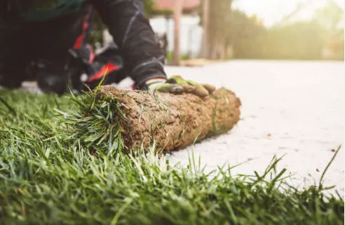 Waldo & Son Landscaping Logo