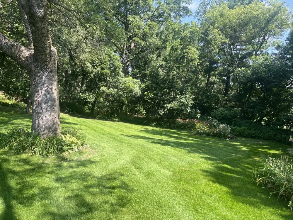 Affordable landscape installation near you in Lino Lakes, MN by Waldoch Lawn & Snow