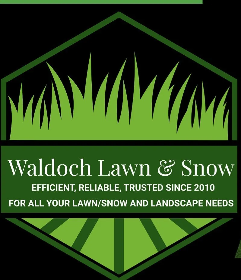 Top-rated yard cleanup service for residential properties in Lino Lakes, MN by Waldoch Lawn & Snow