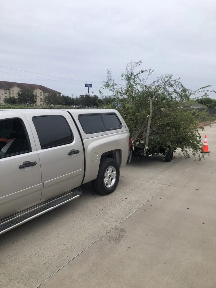 Trusted lawn mowing service in pharr, TX - Waldo’s Lawn Care Service