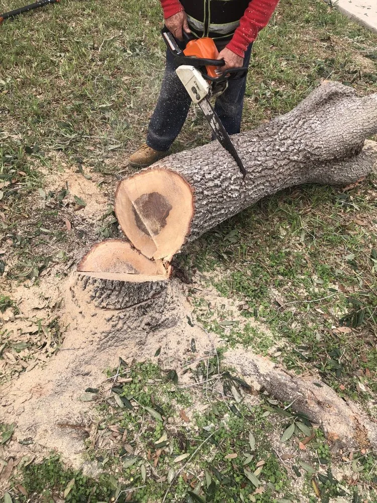 Custom landscaping services with custom design across pharr, TX - Waldo’s Lawn Care Service