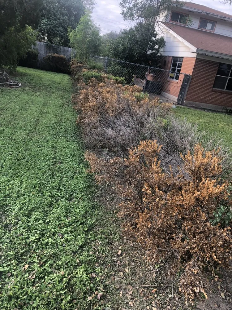 Expert landscape design for year-round maintenance in pharr, TX by Waldo’s Lawn Care Service