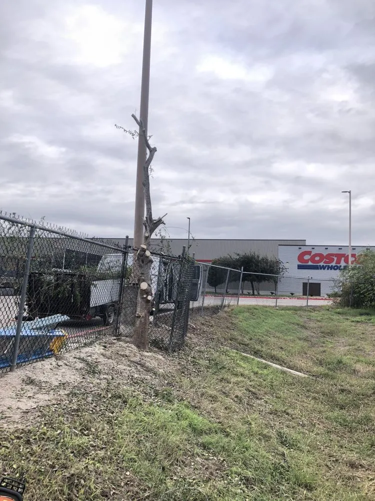 Expert yard maintenance in pharr, TX - Waldo’s Lawn Care Service