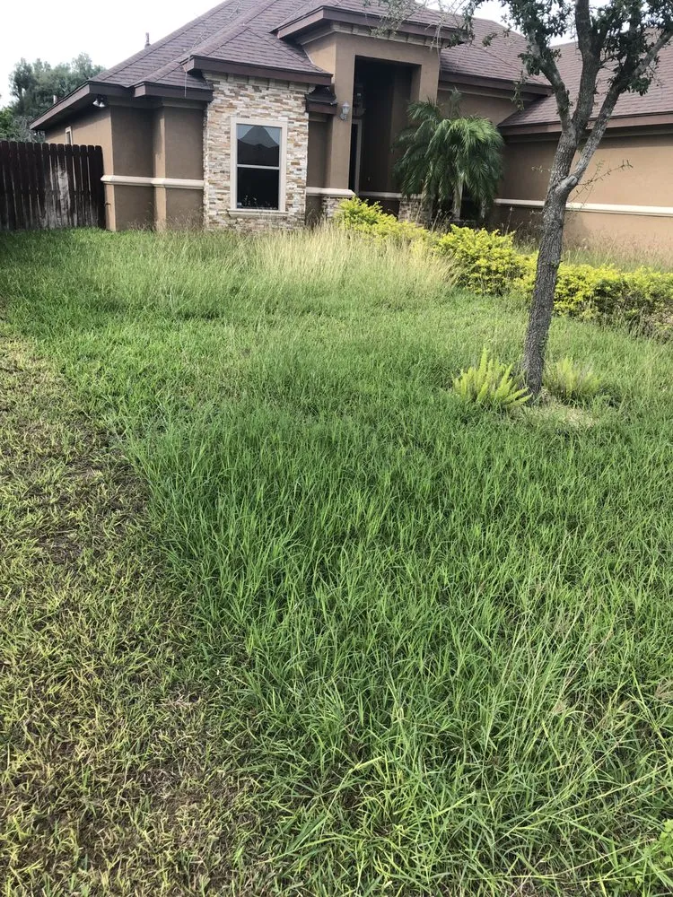 Trusted garden landscaping for homes across pharr, TX - Waldo’s Lawn Care Service