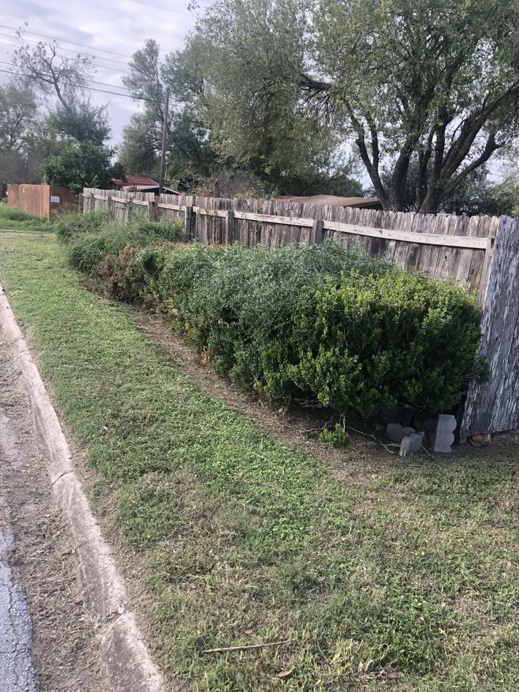 Professional lawn care service experts serving pharr, TX - Waldo’s Lawn Care Service