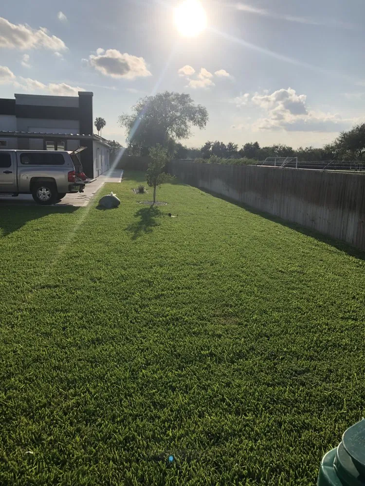 Expert landscaping services experts serving pharr, TX - Waldo’s Lawn Care Service