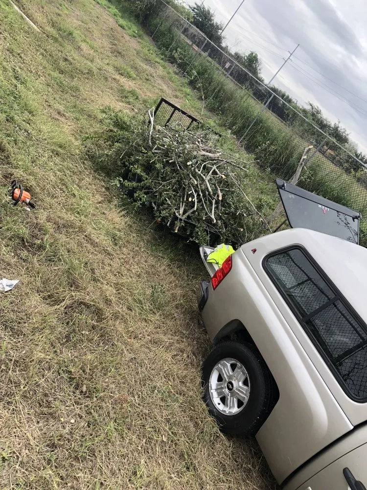 Expert lawn mowing service in pharr, TX by Waldo’s Lawn Care Service