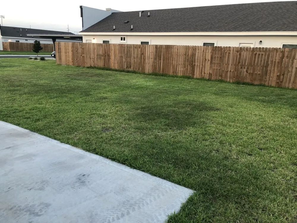 Affordable residential landscaping in pharr, TX - Waldo’s Lawn Care Service