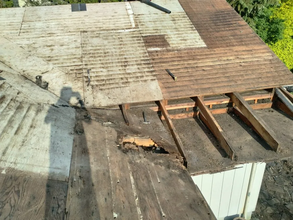 Local lawn care service in Washougal, WA - Waldo's Yard and Home Improvements