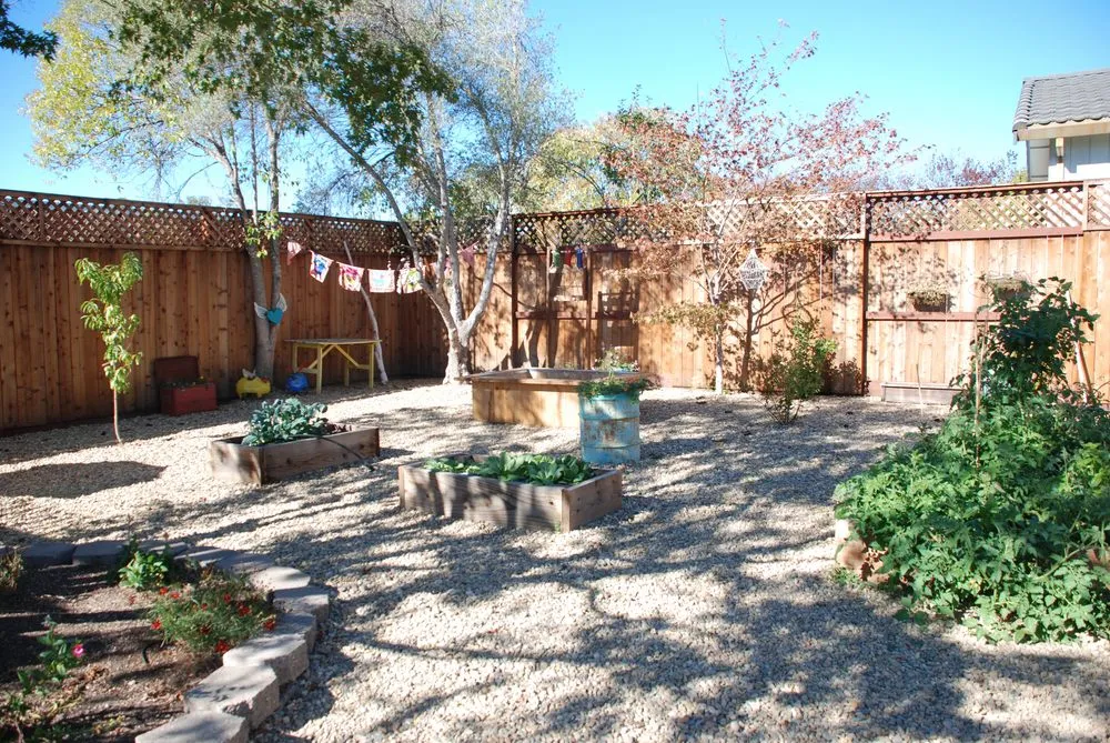 Top-rated yard maintenance experts serving Sonoma, CA - Waldron Landscape