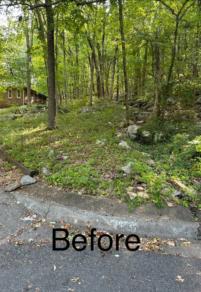 Top-rated lawn mowing service in Huntsville, AL - Waldrop Team Landscape Management