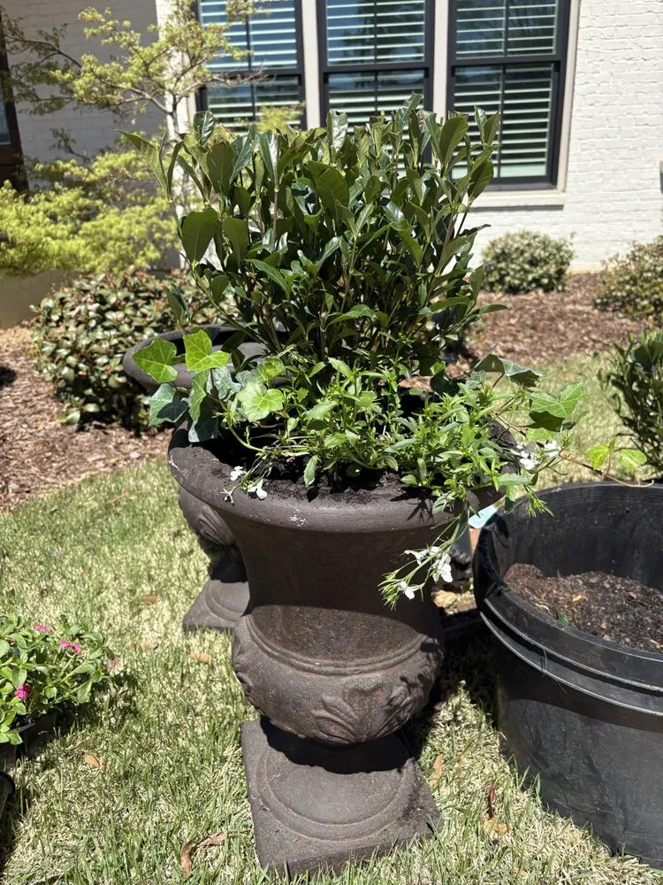 Trusted landscape installation experts serving Huntsville, AL - Waldrop Team Landscape Management