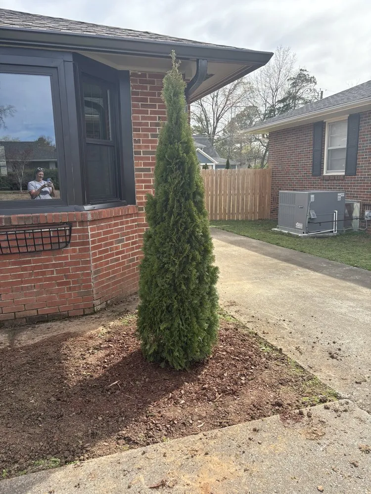 Trusted yard maintenance experts serving Huntsville, AL - Waldrop Team Landscape Management