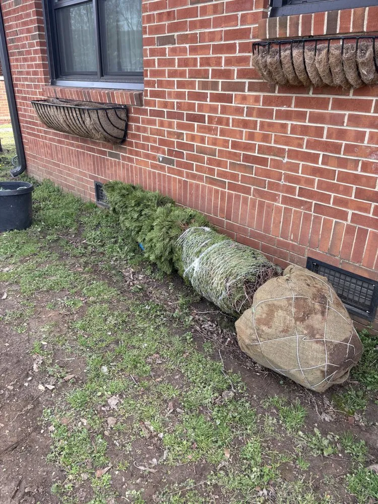 Expert landscaping services for residential properties across Huntsville, AL - Waldrop Team Landscape Management