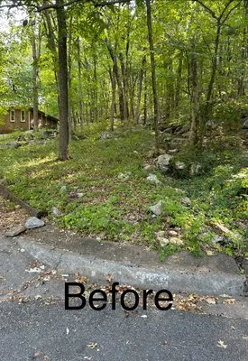 Waldrop Team Landscape Management Logo