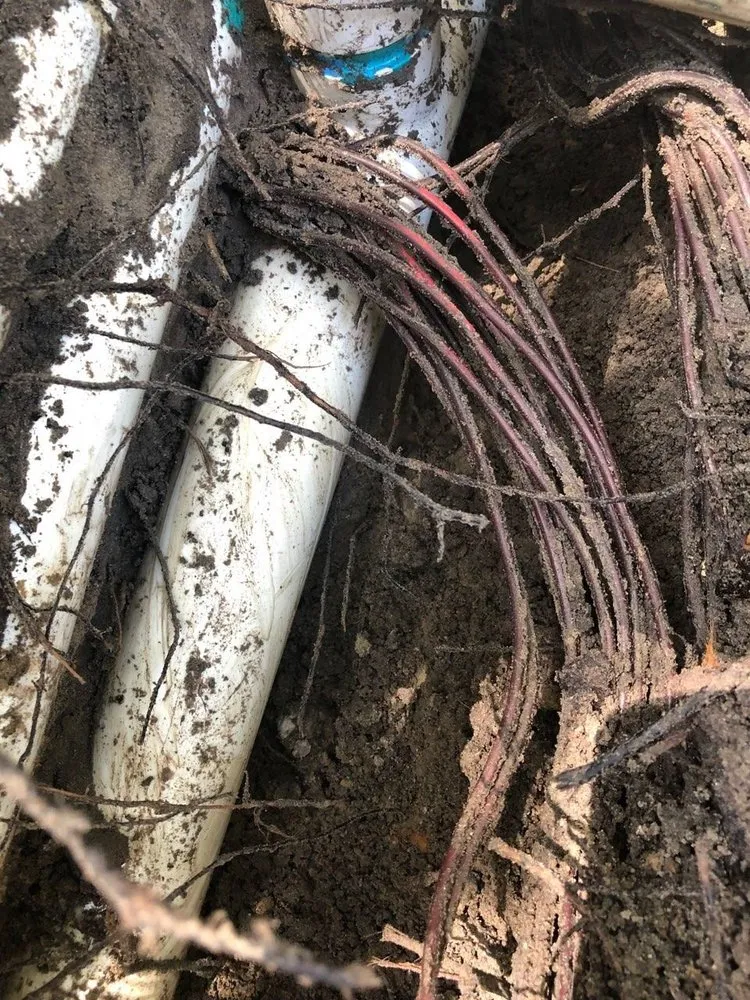 Reliable outdoor landscaping for homes across Plant City, FL - Waldrops Lawn and Irrigation