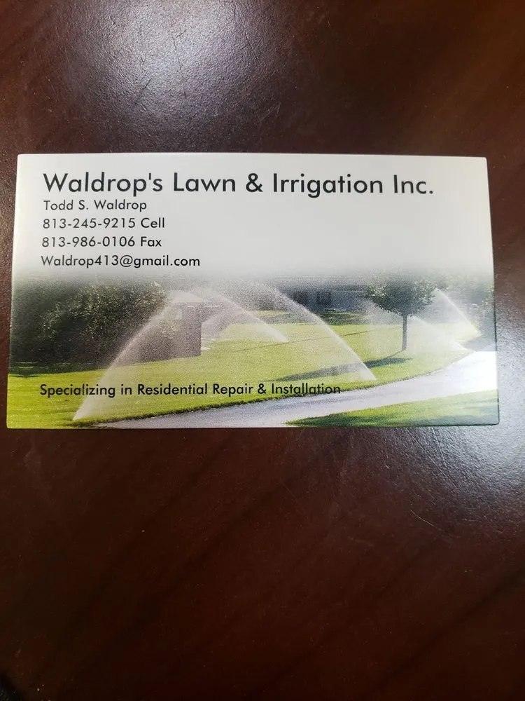 Custom yard cleanup service in Plant City, FL by Waldrops Lawn and Irrigation