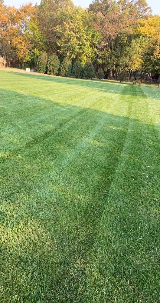 Top-rated landscape installation experts serving Lockport, IL - Waldvogel Lawn Care