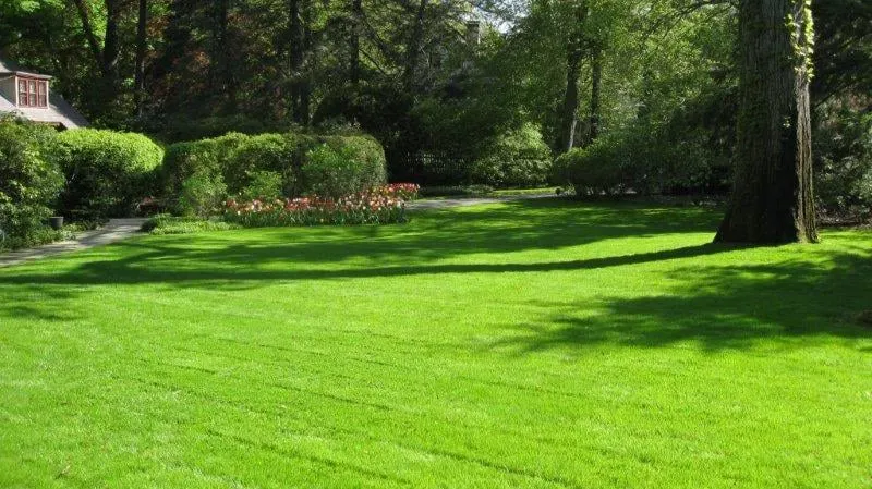 Local residential landscaping in Waldwick, NJ - Waldwick Landscaping