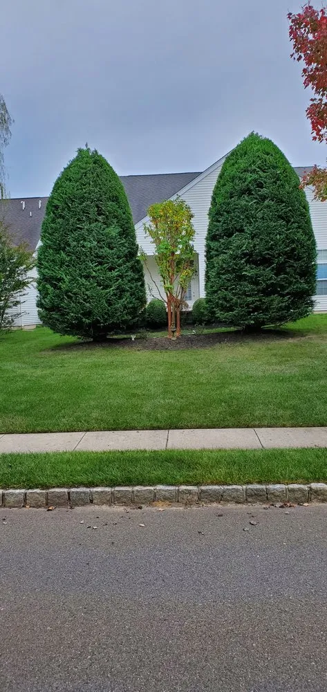 Affordable yard cleanup service experts serving Barnegat Township, NJ - Walford Landscaping