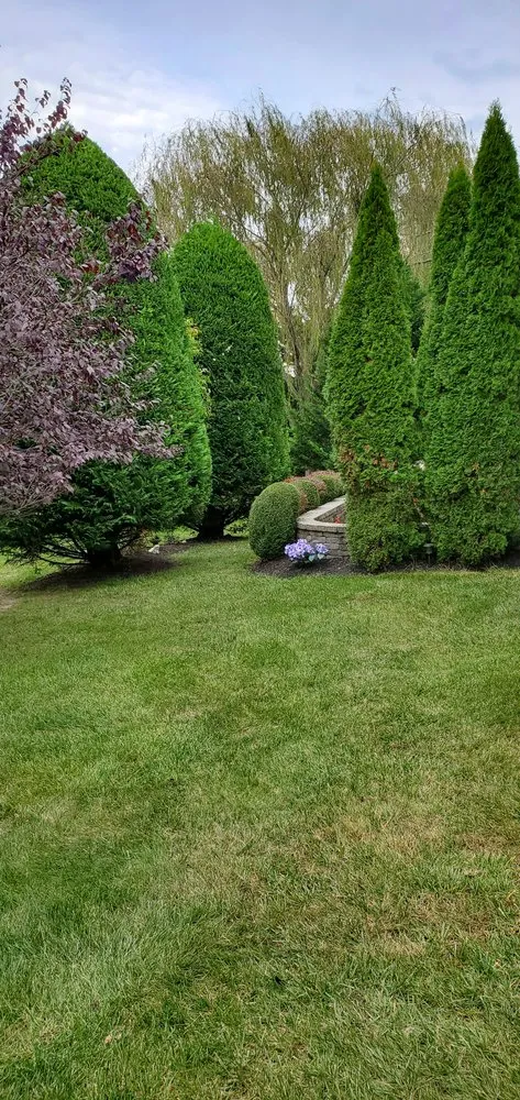 Top-rated yard cleanup service experts serving Barnegat Township, NJ - Walford Landscaping