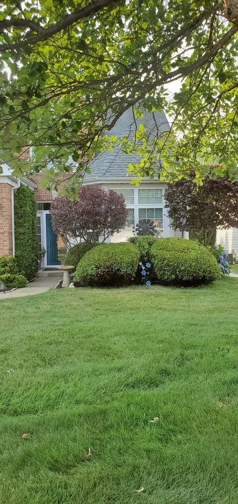 Affordable landscape installation for outdoor upgrades in Barnegat Township, NJ by Walford Landscaping