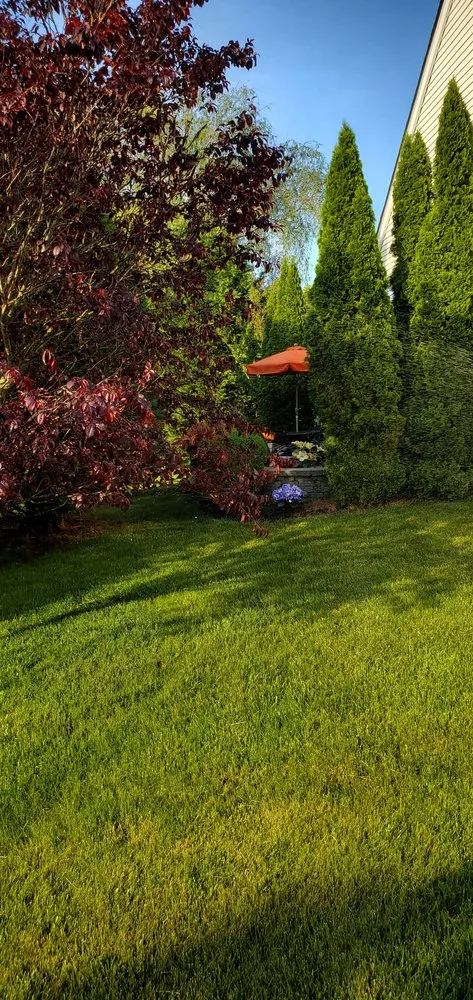 Affordable yard maintenance for outdoor upgrades across Barnegat Township, NJ - Walford Landscaping