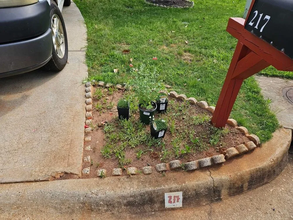 Professional landscape installation experts serving Moore, SC - Walk By Faith