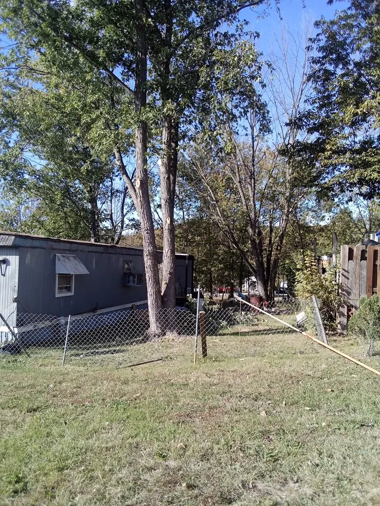 Top-rated lawn care service in House Springs, MO by Walk Right Step Light Rest Easy Landscaping and Tree Work