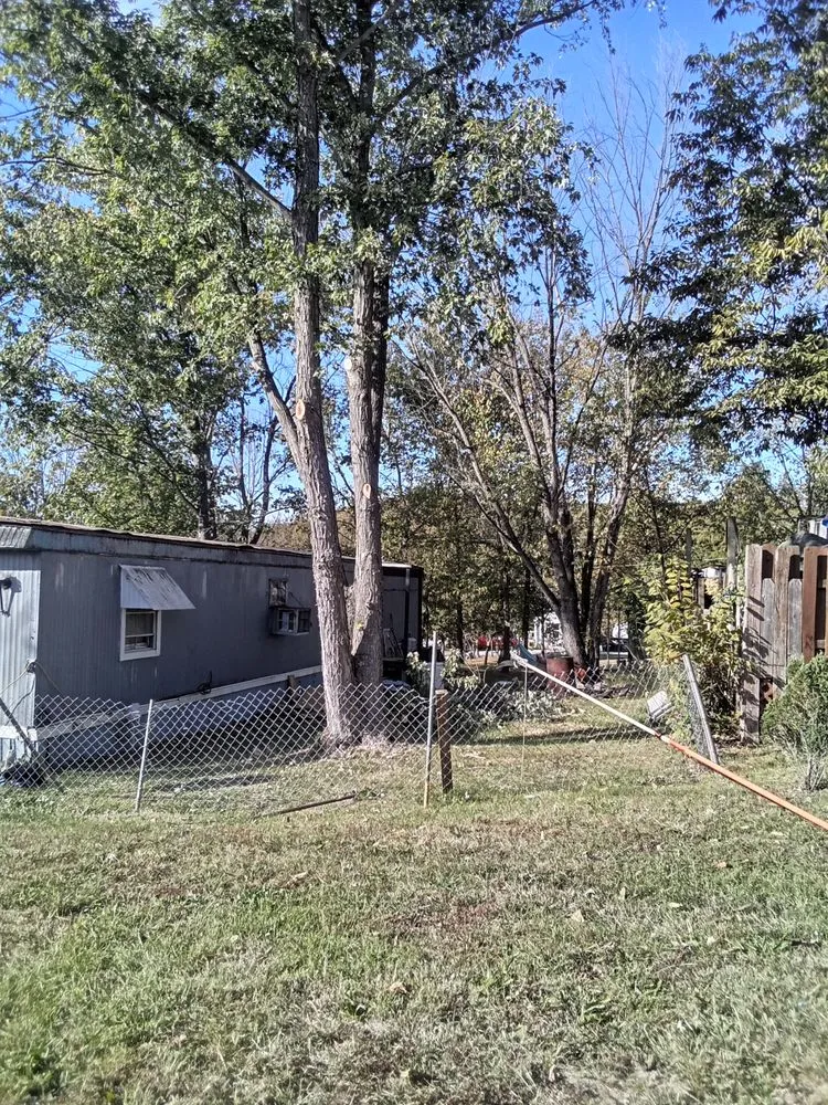 Top-rated lawn care service for beautiful yards in House Springs, MO by Walk Right Step Light Rest Easy Landscaping and Tree Work