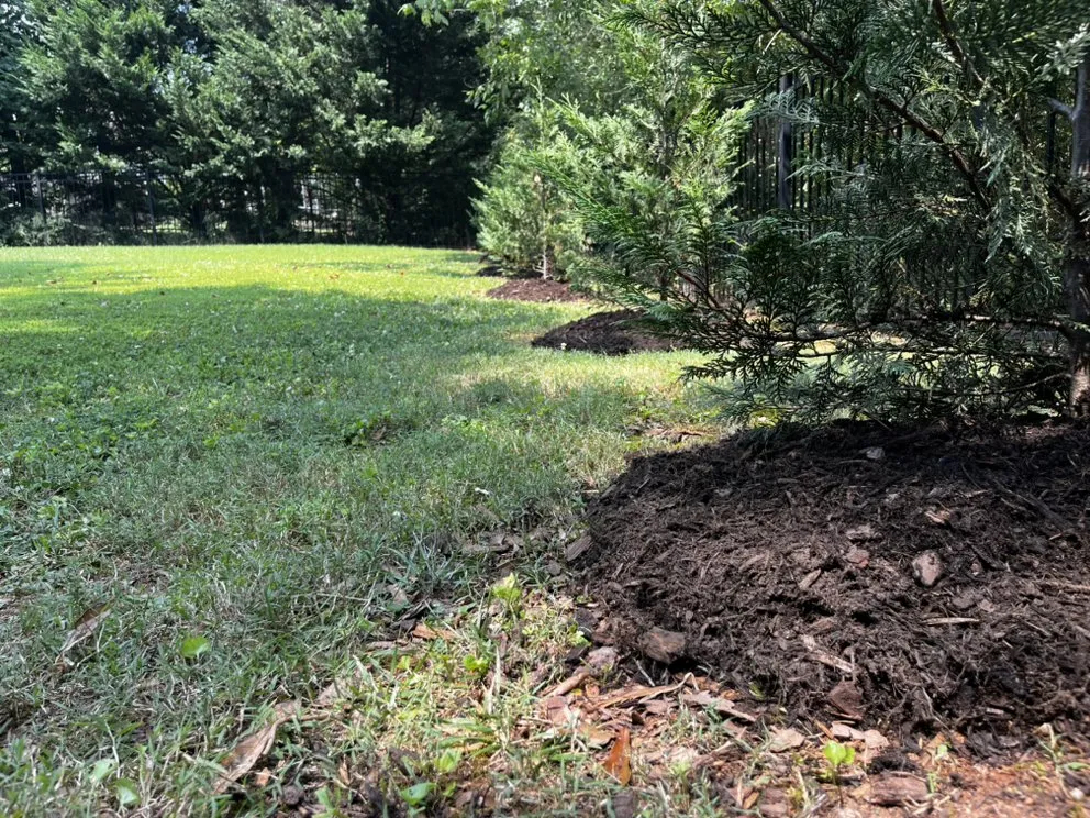 Reliable yard cleanup service for homes across Rutherfordton, NC - Walker & McCraw Landscaping